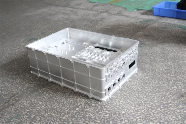 IMG_5430-600 IMG_5430-600